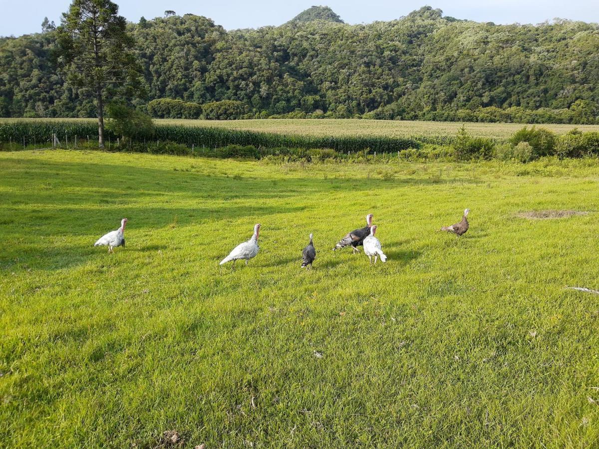 Вилла Fazenda Tamandua Casa De Campo - Cabana Coragem Rio Rufino Экстерьер фото